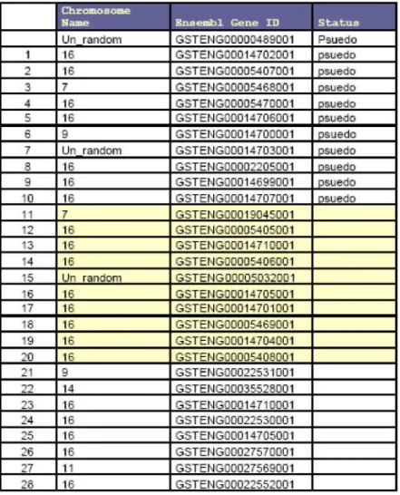 Table 3: List of V2R like sequences identified from the Tetraodon verdis genome.