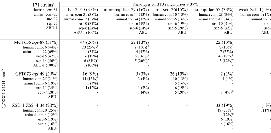 Table 1a: bgl/Z5211-Z5214 locus and β-glucoside utilization phenotypes in 171 E.coli isolates  