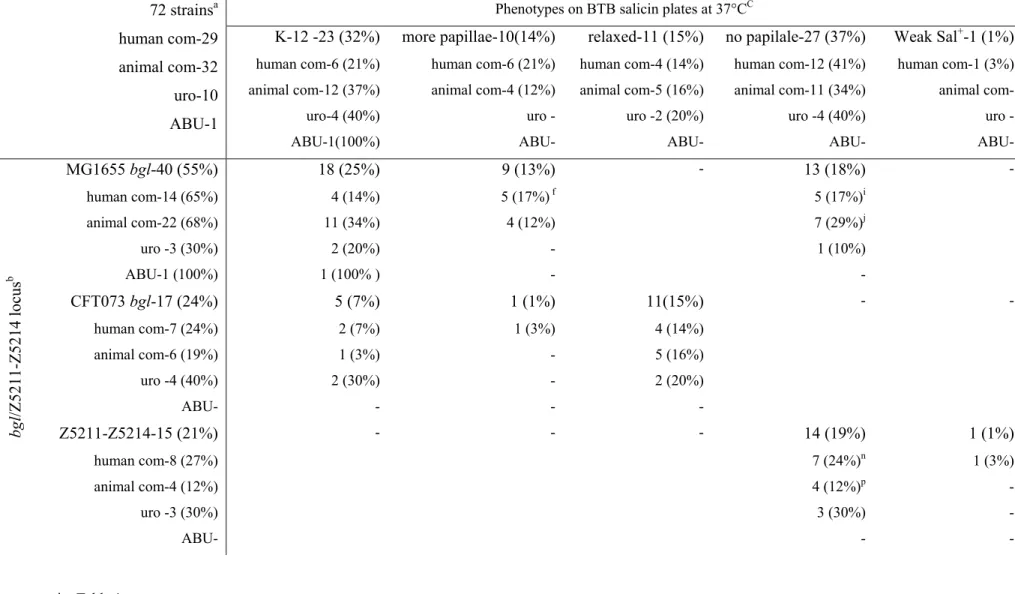 Table 1c: bgl/Z5211-Z5214 locus and β-glucoside utilization phenotypes of 72 ECOR strains 