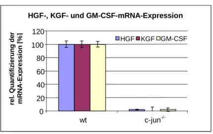 Abbildung  9:  Relative  Quantifizierung  der  mRNA-Expression  von  HGF,  KGF  und    GM-CSF in wildtyp und c-jun -/-  Fibroblasten durch semiquantitative ‚realtime‘ PCR   Als Referenz dienten jeweils die Meßwerte der mRNA-Synthese in den wildtyp Fibrobla