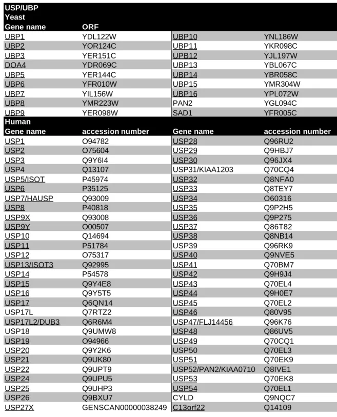 Table 3-21 List of yeast and human USP members. USPs with a complete catalytic triad are underlined