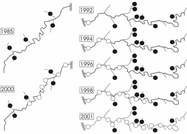 Figure 1: Colonization of rivers through Invasive sculpins in the recent past. Data  from regular fish abundance surveys in the River Mosel (left) and the River  Sieg (right) are depicted for selected years