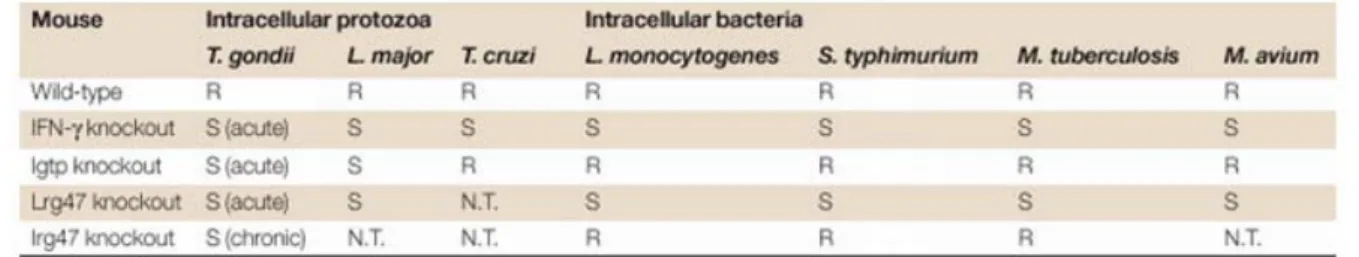 Table 2: The table, taken from a review by Taylor et al. (40), summarizes the phenotypes obtained with  the shown knock out mice (S, sensitive; R; resistant)