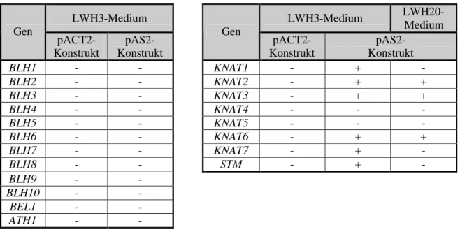 Tab. 3.4: Ergebnis des Tests auf unspezifische Reportergen-Aktivierung der TALE-Fusionsproteine