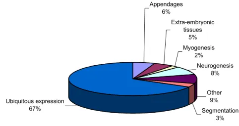 Figure 5.1 Distribution of expression patterns obtained by in situ hybridization.