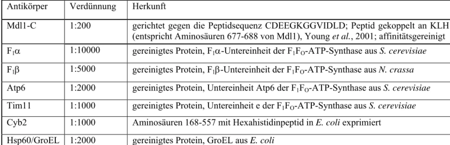 Tabelle 6: In dieser Arbeit verwendete Antikörper 