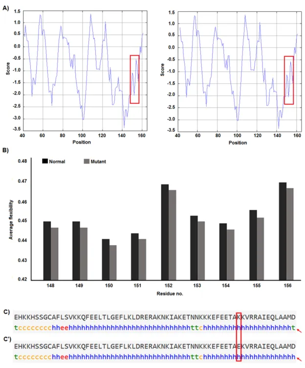 Figure 3: Hydrophobicity, average flexibility and secondary structure of survivin after c.454G&gt;A transi- transi-tion