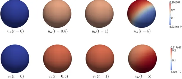 Figure 4. Instability with diffusion (d = 1). From left to right: the discrete solutions u h