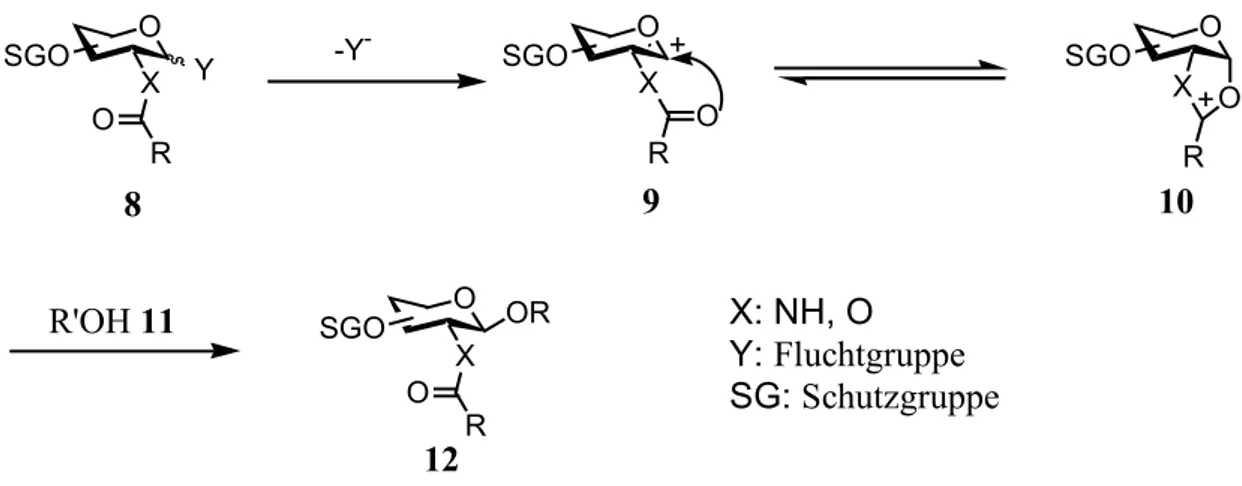 Tabelle 1: Im Rahmen dieser Arbeit verwendete Glycosyldonore und ihre Aktivatoren.