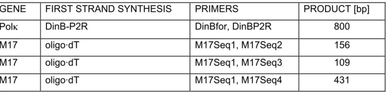 Table 2b: Primer combinations and expected sizes of PCR products obtained by RT-PCR