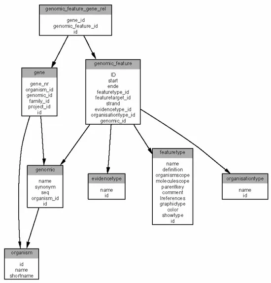 Abbildung 9: Vereinfachte  Struktur der TF-Workbench Datenbank. Unterteil Gen-Annotationen 