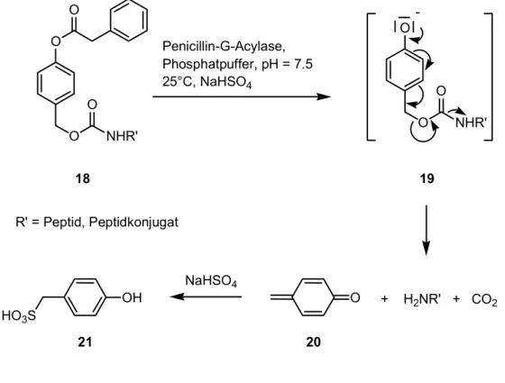 Abbildung 5: Die enzymlabile AcOZ- (17) und PhAcOZ-Schutzgruppe (18).   