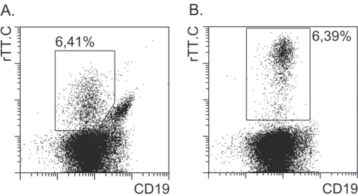 Abbildung 2: Vergleich der indirekten und direkten Methode zur Anreicherung rTT.C- rTT.C-spezifischer B-Zellen.