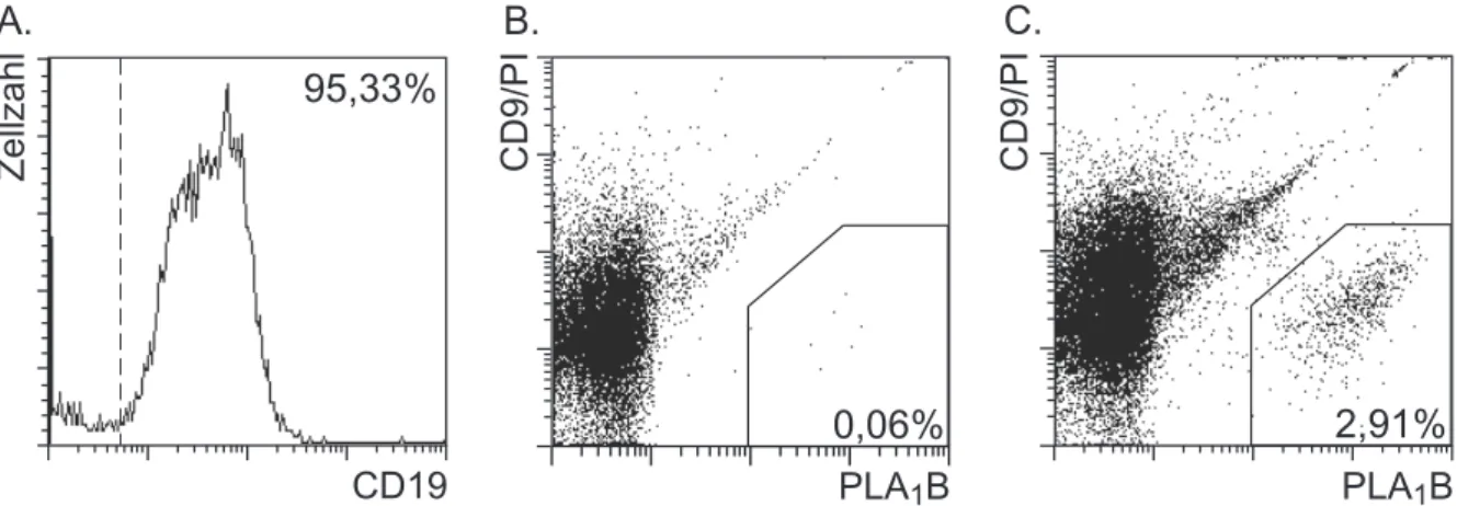 Abbildung 4 zeigt eine typische durchflußzytometrische Analyse PLA 1 B-spezifischer B-Zellen