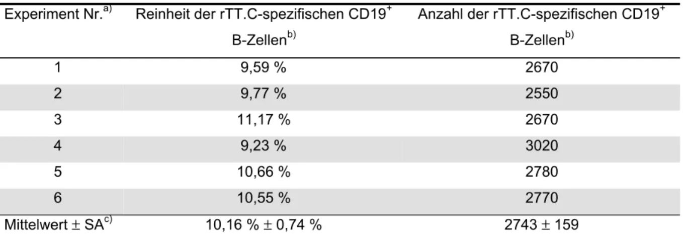 Tabelle 1: Reproduzierbarkeit der Anreicherung von rTT.C-spezifischen B-Zellen Experiment Nr