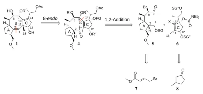 Abbildung 7: Epibestatin und das Pyrrolidinon 3 als niedermolekulare Verbindungen zur Sta- Sta-bilisierung von Protein-Protein-Wechselwirkungen