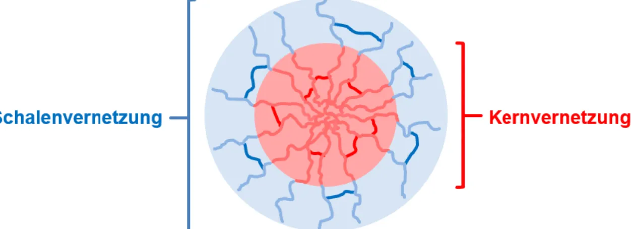Abbildung 6: Schematische Darstellung der Kern- und Schalenvernetzung von amphiphilen  Blockcopolymeren.