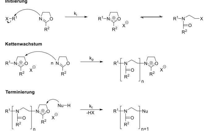 Abbildung 17:Mechanismus der lebenden kationischen, ringöffnenden Polymerisation von 2- 2-Oxazolinen