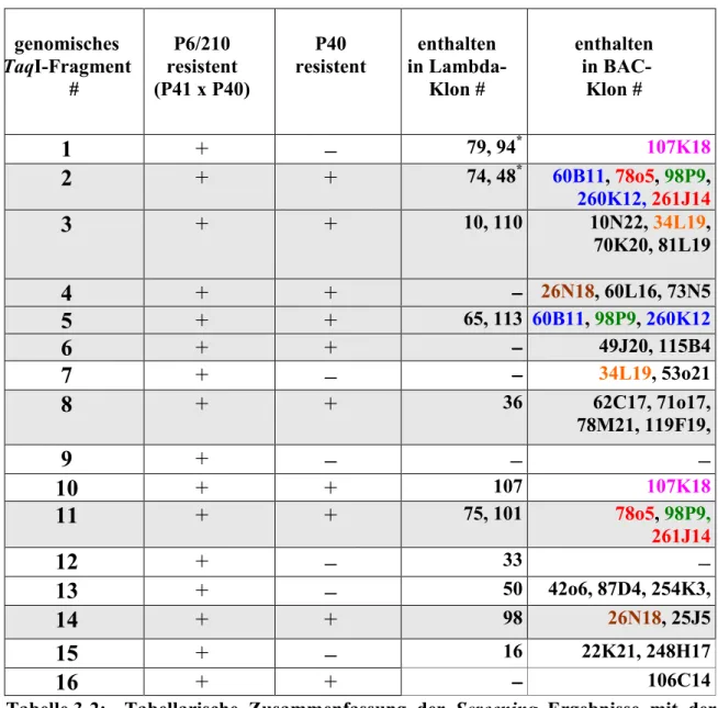 Tabelle 3-2:  Tabellarische Zusammenfassung der Screening Ergebnisse mit der   St332-Sonde
