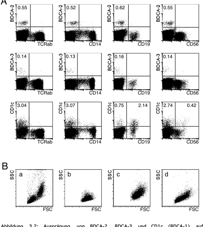 Abbildung  3.2:  Ausprägung  von  BDCA-2,  BDCA-3  und  CD1c  (BDCA-1)  auf PBMC.  (A)  Färbung  von  PBMC mit FITC-konjugierten  mAk  gegen BDCA-2  (AC144), BDCA-3 (AD5-5E8)  und  CD1c  (AD5-8E7)  und  mit  PE-konjugierten  mAk  gegen  das   TCRαβ-Heterod