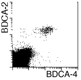 Abbildung  3.4:  Ausprägung  von  BDCA-4 auf  PBMC.  Gezeigt  ist  eine  Färbung  mit   FITC-konjugiertem  mAk  gegen  BDCA-2  (AC144)  und PE-konjugiertem Ak gegen BDCA-4 (AD5-17F6).