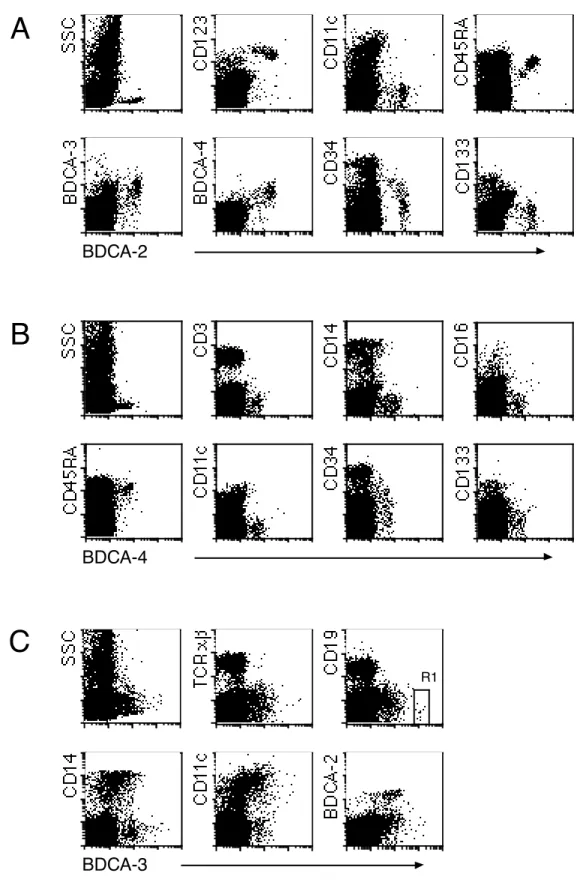 Abbildung  3.6:  Phänotyp  von  BDCA-2 +   (A),  BDCA-4 +   (B)  und  BDCA-3 +   (C) Zellen  innerhalb  von  BMMNC