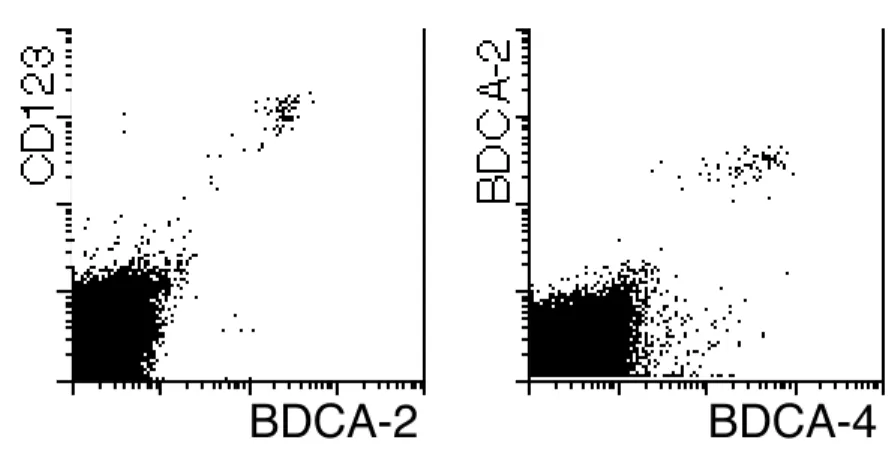 Abbildung  3.7:  In  entzündeten  Tonsillen  wird  BDCA-2  von  CD123 +   BDCA-4 + PDC  ausgeprägt