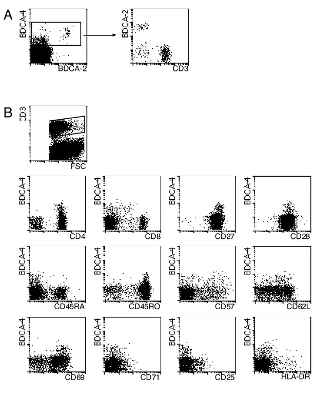 Abbildung  3.8:  Ausprägung  von  BDCA-4  auf  PDC  und  CD57 +   T FH -Zellen  in entzündeten  Tonsillen