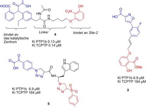 Abbildung 5. Ptp1b-Inhibitoren mit Selektivität über TC-PTP. 