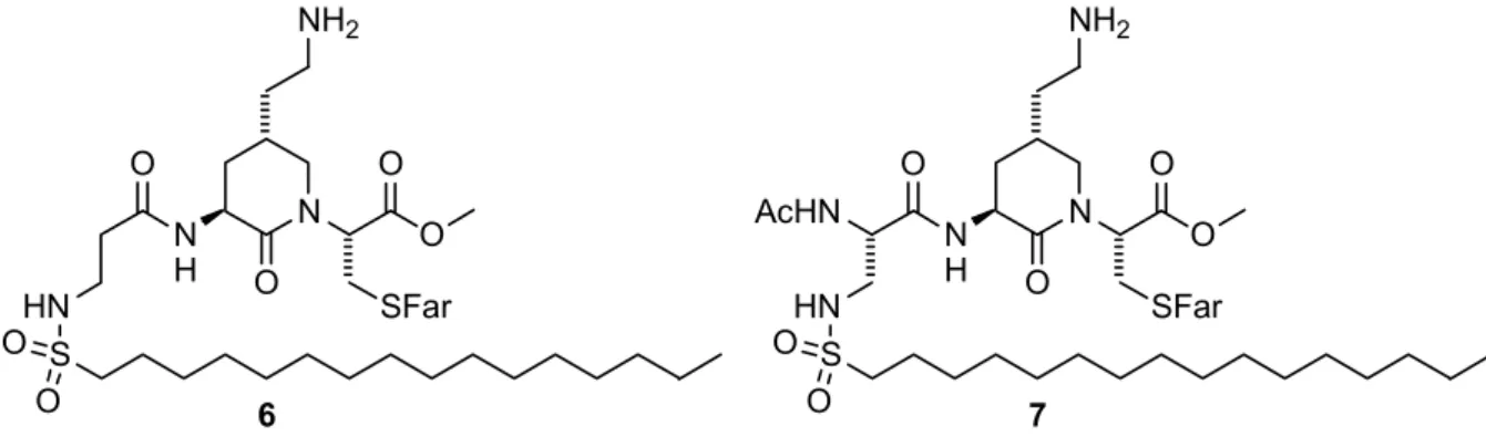 Abbildung 10: Zu synthetisierende Lactame. 
