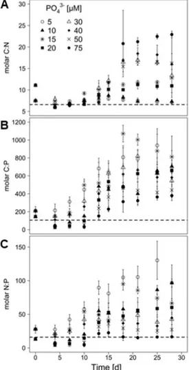 Figure 2. Elemental molar ratios C/N (A), C/P (B) and N/P (C) of the biomass of M. aeruginosa grown  on 8 different initial of PO 4 3–  concentrations