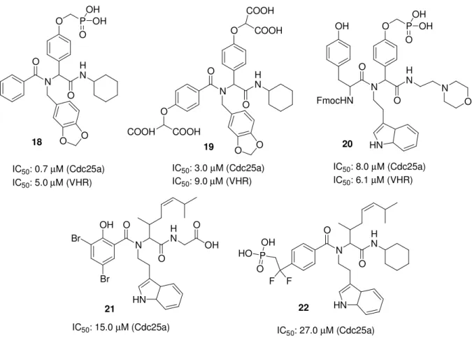 Abbildung 8: Synthetische Inhibitoren der Phosphatasen Cdc25a und VHR. 