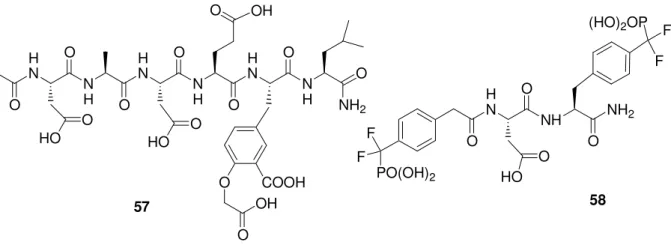 Abbildung 13: Peptidische Inhibitoren mit Säurefunktionen. 