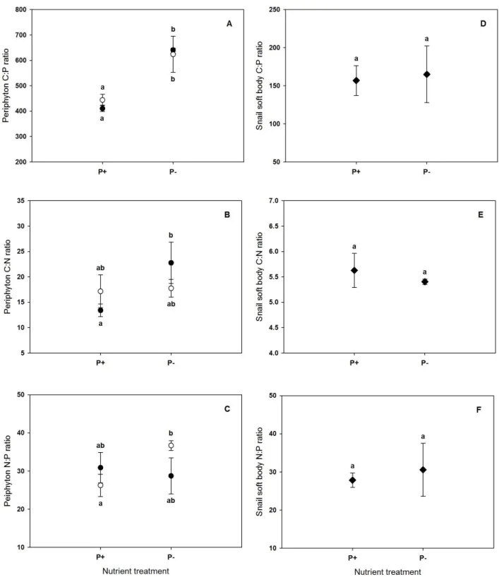 Figure 1. Molar C:P, C:N and N:P ratios of P-enriched (P+) and P-depleted (P-) periphyton (A- (A-C) and of Ancylus fluviatilis soft bodies feeding on P+ and P- periphyton (D-F) at the end of the  grazing phase