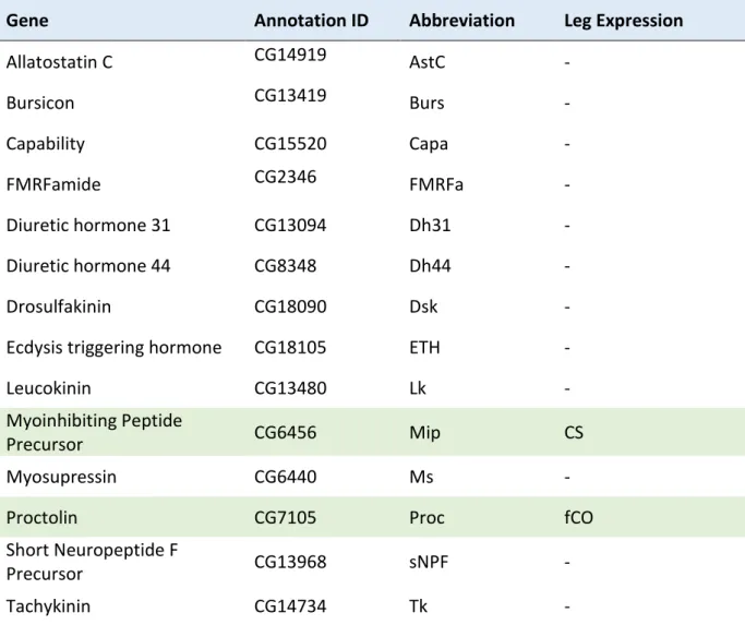 Table 2. Genes screened for expression in leg sensory organs 