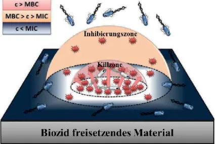 Abbildung 7: Schema der Oberflächenfreisetzung eines mit Biozid beladenen Materials, nach Krumm et