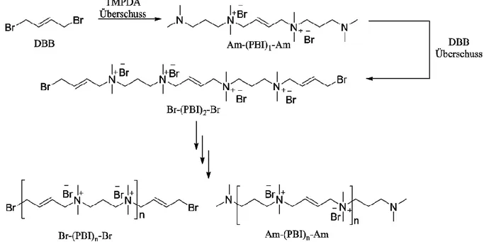 Abbildung 8: Schema der PBI-Synthese durch sequentielle, beidseitige Monomeraddition zur Herstellung  von Br-(PBI) n -Br und Am-(PBI) n -Am Spezies