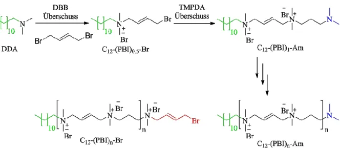 Abbildung 13: Schema der PBI-Synthese durch sequentielle, einseitige Monomeraddition zur Herstellung  von C 12 -PBI n -Br/Am Spezies ausgehend von DDA