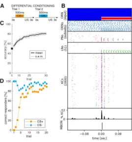 Fig. 2. Rapid associative learning expressed in neuronal plasticity and con- con-ditioned response behavior