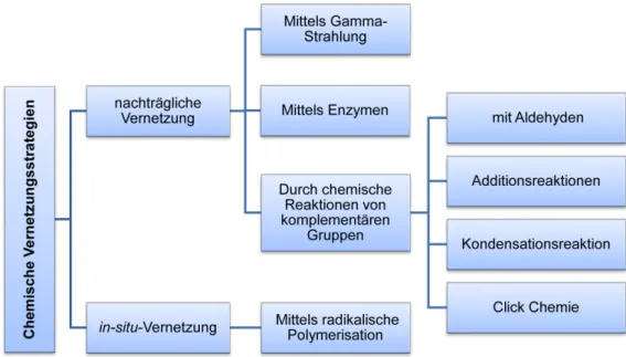 Abbildung 1.7.: Vernetzungsstrategien der chemisch vernetzten Hydrogele.