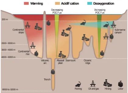 Figure 1: Impact of human activities and climate change on the deep ocean. Human exploitation activities (mining, waste disposal, fisheries) and associated increase of CO 2 levels will negatively impact the temperature, pH, and oxygenation of the deep ocea