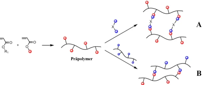 Abb. 9: Darstellung einer nachträglichen Vernetzung anhand eines funktionalisierten Polyacrylats (R 1 : Acrylat-Rest; roter  Punkt: vernetzbare Gruppe); A: Netzwerkbildung über Reaktion mit bifunktionellem Vernetzer (X: beliebiger spacer, blauer 