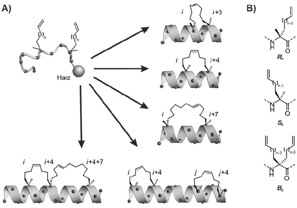 Abbildung  6. Peptide  mit  α-methylierter  Kohlenwasserstoffverbrückung  zur  konformativen  Stabilisierung  α-helikaler  Peptidsequenzen