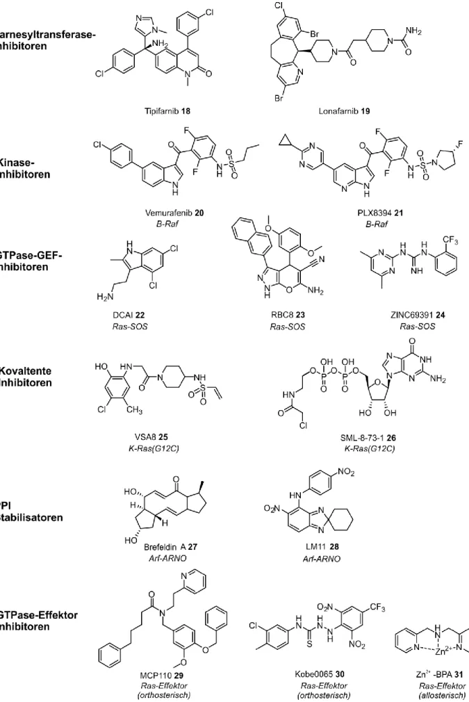 Abbildung  12. Auswahl einiger niedermolekularer  Moleküle, die die Signalwirkung kleiner GTPasen  modulieren