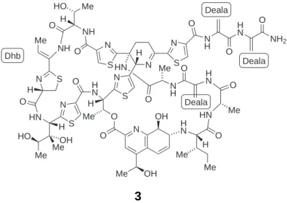 Abb. 2.8. Struktur des Thiostreptons 3. Die Position der drei Dehydroalanine (Deala) und des Dehydrobutyrins (Dhb) ist angegeben.