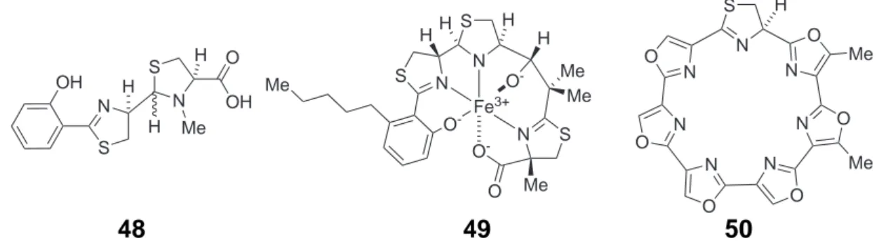 Abb. 2.13. Beispiele für Thiazolin-enthaltende Naturstoffe: Struktur der Pyocheline (I/II) 48, des Micacocidins A 49 und des Telomestatins 50.