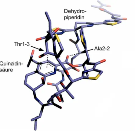 Abb. 2.18. Röntgenkristallstruktur des Thiostreptons 3 (PDB-Code: 1E9W). [105] Gut zu erkennen ist die Halbsesselkonformation des zentralen Dehydropiperidins.