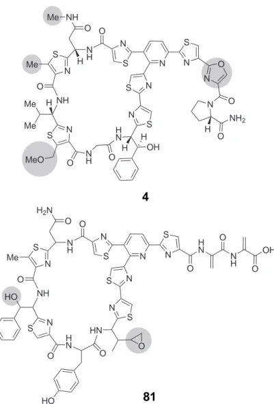 Abb. 3.3. Strukturen der Pyridin-Thiopeptide (Serie d) [26] GE2270A 4 und Thiomuracin A 81