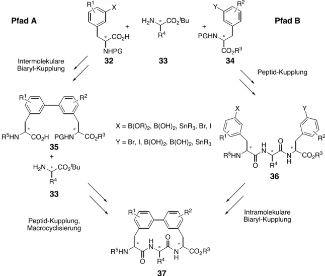 Abb. 17:  Mögliche Syntheserouten zum Biphenomycin-Grundgerüst 37. 