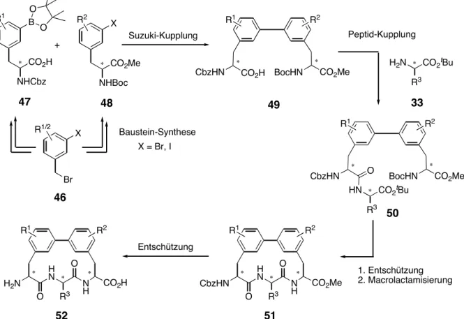 Abb. 19:  Synthese-Schema zur Darstellung des Biphenomycin-Grundgerüsts 52. 